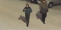 25-летнему чёрному лесорубу вынесли приговор в Нижнеудинском районе - IrkutskMedia.Ru