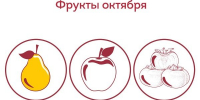 Питание по сезону. Фрукты октября - Роспотребнадзор