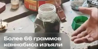 Более 66 граммов каннабиса изъяли полицейские у жителя Приморска. - Городской округ Бердянск