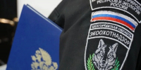 В Белгородской области подвели итоги природоохранного надзора за девять месяцев - Сетевое издание Красный Октябрь