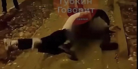 «Бей по почкам!»: в Губкине компания подростков напала на мальчика — кадры появились в сети - Gubkin.City