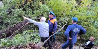 В Ялте нормализовали ситуацию после подтоплений - Комсомольская Правда