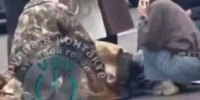 «Нива» снесла 11-летнюю девочку на пешеходном переходе в Воронеже - Bloknot-Voronezh.Ru
