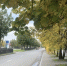 фото: АПИ Урал - АПИ