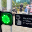 В Сочи первая партия из 37 новых автобусов вышла на городские маршруты - Sochi.Com