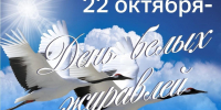 Picture background - Центральная районная библиотека