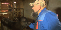1792603981_211026-rabota-dlja-veteranov-svo-veterinarnyj-feldsherkovieva-tkachenko_3652806_00_03_20_08_still010 - Газета Восход