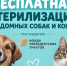 Для кого-то важная информация, поделитесь постом, чтобы больше людей узнали - Tvoy-Bor.Ru