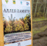 Память павших бойцов СВО увековечили новой аллеей в Липецке - Знамя Октября