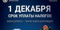 Обратите внимание! До 1 декабря необходимо заплатить имущественные налоги и налог на доходы физических лиц - Администрация г. Мегиона