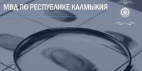 В Калмыкии задержали девять преступников, находившихся в розыске   - РИА Калмыкия