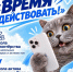 Баннер время действовать - Администрация г. Рубцовск