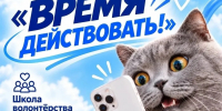 Баннер время действовать - Администрация г. Рубцовск