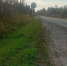photo - ОМЕДИА!