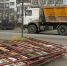 Фото: News29 - News29.Ru