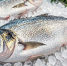 Предпринимателя из Абакана лишили декларации на рыбную продукцию - ИА Хакасия