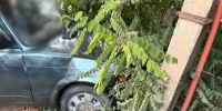 Астраханский водитель погиб, врезавшись в опору ЛЭП - Астрахань 24