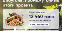 Из древесных отходов НЛМК делает биоуголь - Город Липецк
