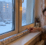 Кладу одну вещь прямо на подоконник — и зимой из окон больше не сифонит: дома тепло даже в лютые морозы - Pro Город Ухта