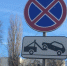 В Курске с 1 ноября запретят остановку на более чем 40 улицах - Друг для Друга