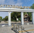 С верандами, огородом и фермой: Загородный парк предлагают превратить в общую дачу - Волга Ньюс