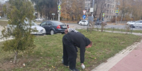 В Рязани в Приокском прошёл субботник - ИА Малая Родина