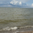 Вода в Таганрогском заливе остаётся умеренно загрязнённой. Фото donnews.ru - DonNews.Ru