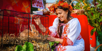 Картинка - Regions.Ru