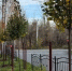 На улице Рылеева началась посадка деревьев - Городская управа