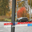 В Ярославле водитель автобуса, спасая животное, вылетел с дороги - YarCube.Ru