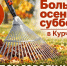 ВМЕСТЕ СДЕЛАЕМ НАШ ГОРОД ЧИЩЕ И КРАШЕ! - Газета Курчатовское время
