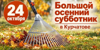ВМЕСТЕ СДЕЛАЕМ НАШ ГОРОД ЧИЩЕ И КРАШЕ! - Газета Курчатовское время