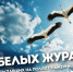 Нажмите для просмотра в полном размере... - Городская библиотека