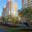 Зелёный фонд Саранска пополнили новые породы деревьев - Вестник Мордовии