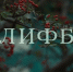 «Огранка алмаза»: почему Ягафаров вырезал красивые кадры из «Әлифбы» и снял две версии фильма без субтитров - ТРК Татарстан-Новый век