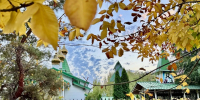 Тепло до +17 обещают волгоградцам синоптики в выходные 24-25 октября - Комсомольская правда