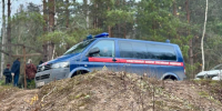 Женщина попала в голову потерпевшего. - Новгородские Ведомости