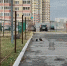 В России может появиться новый знак парковки для многодетных семей - MegaTyumen.Ru