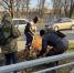 Бригады ручного труда продолжают собирать листву на улицах города - I-ola.Ru