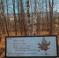 Талисманом парка Кирова в Ижевске стала голубиная семья - Сусанин