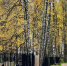 Картинка - Regions.Ru