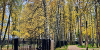 Картинка - Regions.Ru