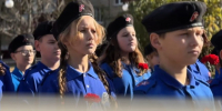 22 октября — День белых журавлей - Балаковские вести