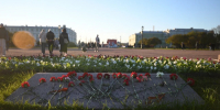 Мужчину отправили в колонию за тушение Вечного огня на Марсовом поле - Комсомольская правда