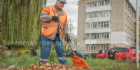 В Брянске до конца осени установят более 50 новых мусорных площадок - Газета Брянские новости
