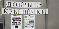 Малыши уже совершают добрые дела - Газета Обнинский Вестник
