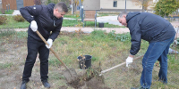 Дали дуба. В саду Шевченко появились новые деревья - Орская хроника