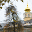 12 октября 2026, Покровская конференция / 12 October 2026, Intercession Conference - Духовная академия