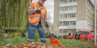 В Брянске наводят порядок на улицах и устанавливают контейнерные площадки - Комсомольская Правда