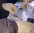 Устроившего погоню и ДТП с полицейской машиной сбытчика марихуаны задержали в Крымувидео - Комсомольская правда
